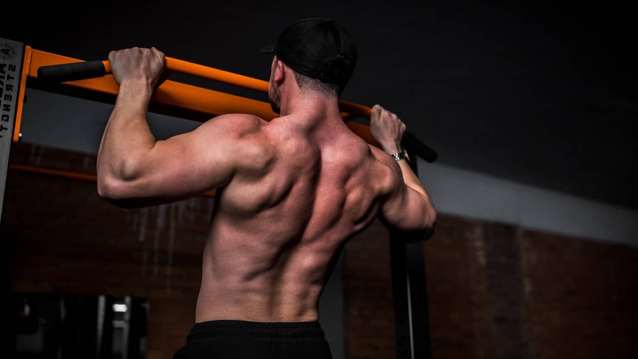 Une Jeune Femme Fait Des Exercices Pour Les Biceps Avec Une Barre